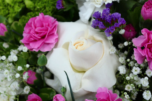 Ivory Symphony Signature Box