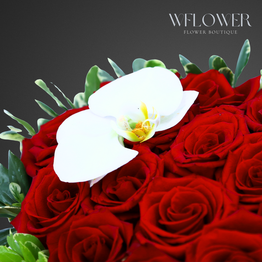 Scarlet Heart Signature Box