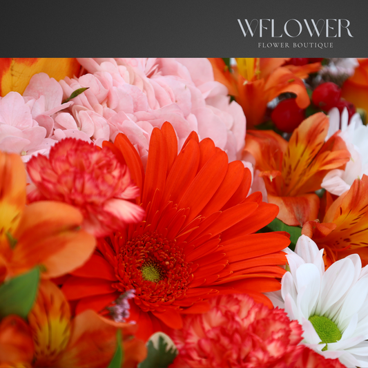 Sunset Charm Signature Box