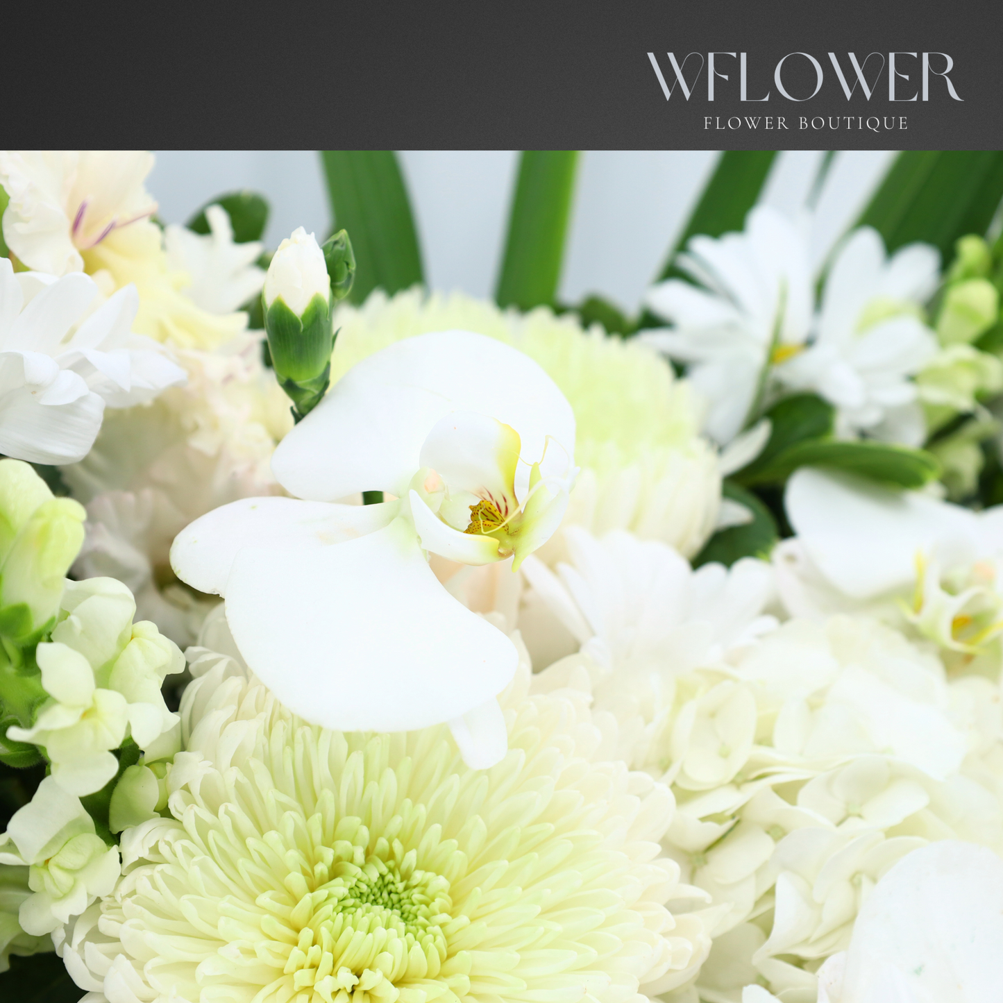 Ivory Grace Signature Box