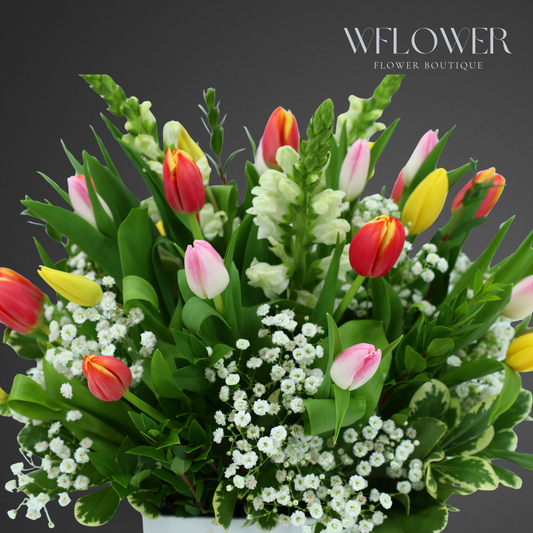 Holland Tulip Garden Signature Box