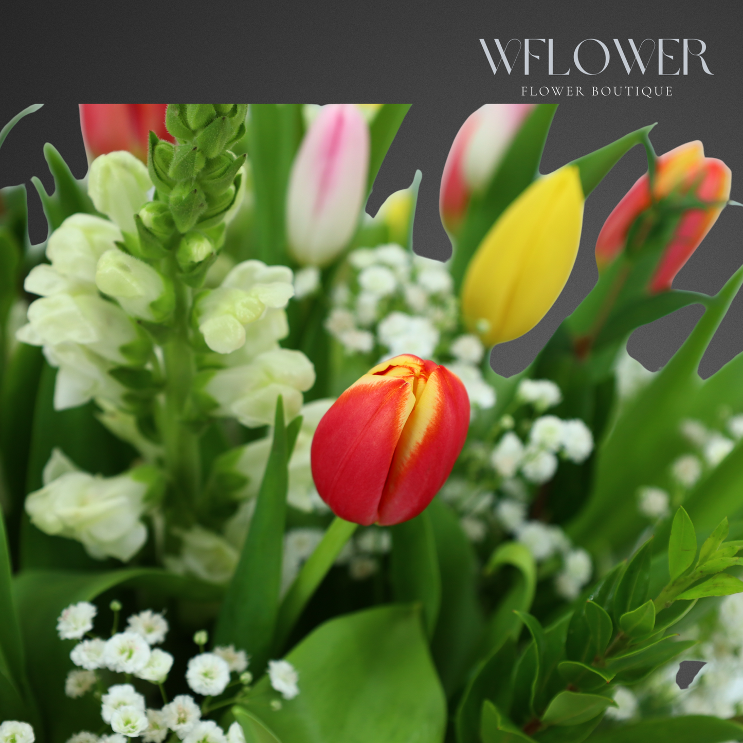 Holland Tulip Garden Signature Box