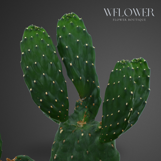 Succulent & Cactus Harmony, 10 in Sculpted White Ceramic Planter