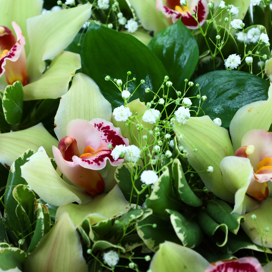 Imperial Orchid Signature Box