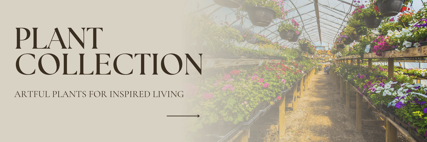 Plant Collection