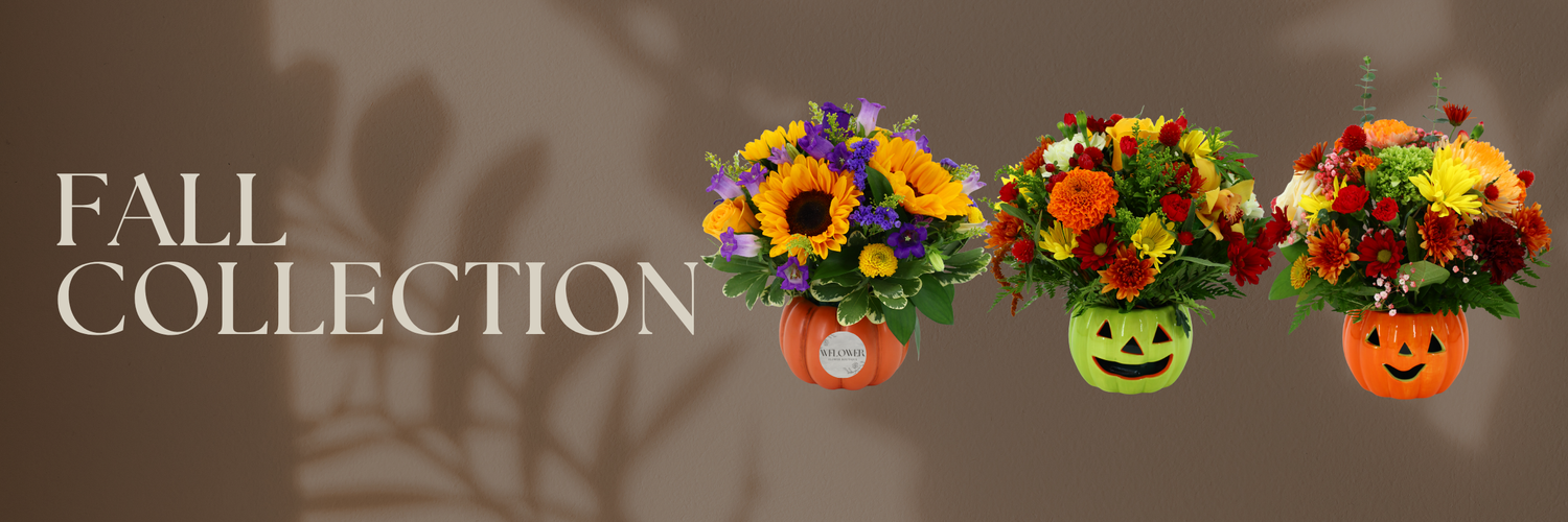 Fall Collection Image