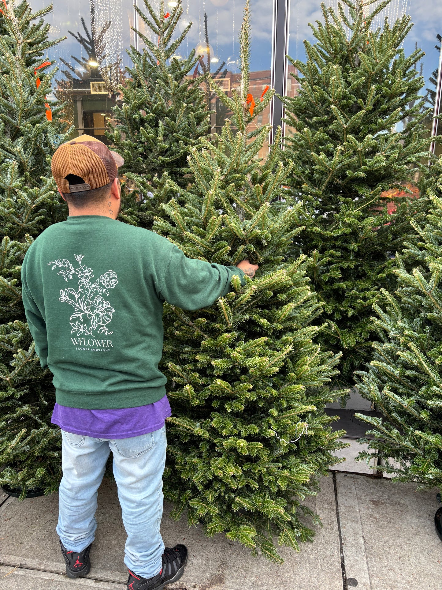 Fresh Cut Fraser Fir Christmas Tree (5 to 6 ft)