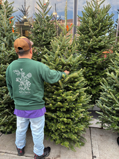 Fresh Cut Fraser Fir Christmas Tree (5 to 6 ft)