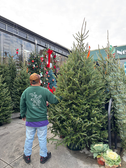 Fresh Cut Fraser Fir Christmas Tree (7 to 8 ft)