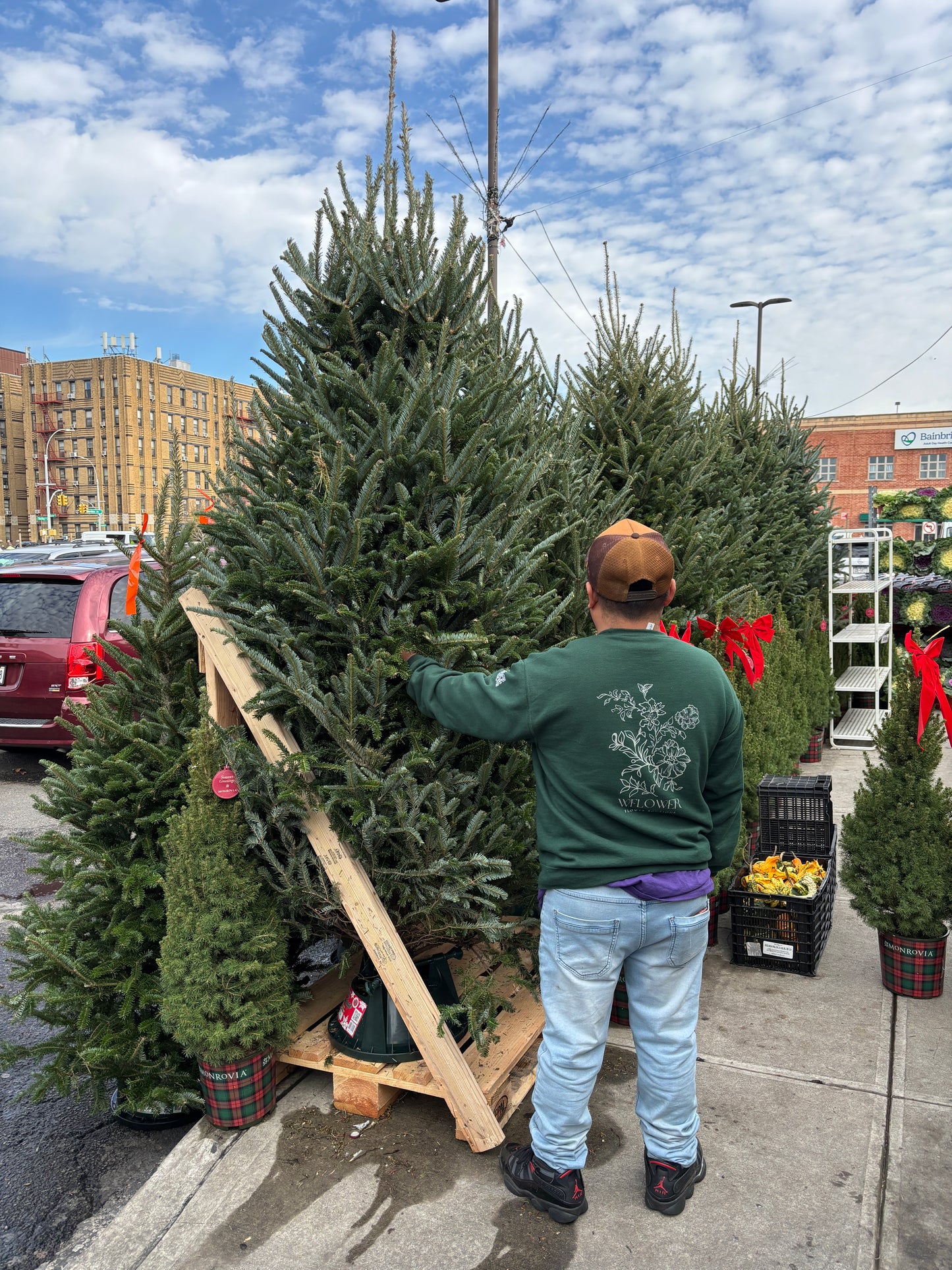 Fresh Cut Fraser Fir Christmas Tree (8 to 9 ft)