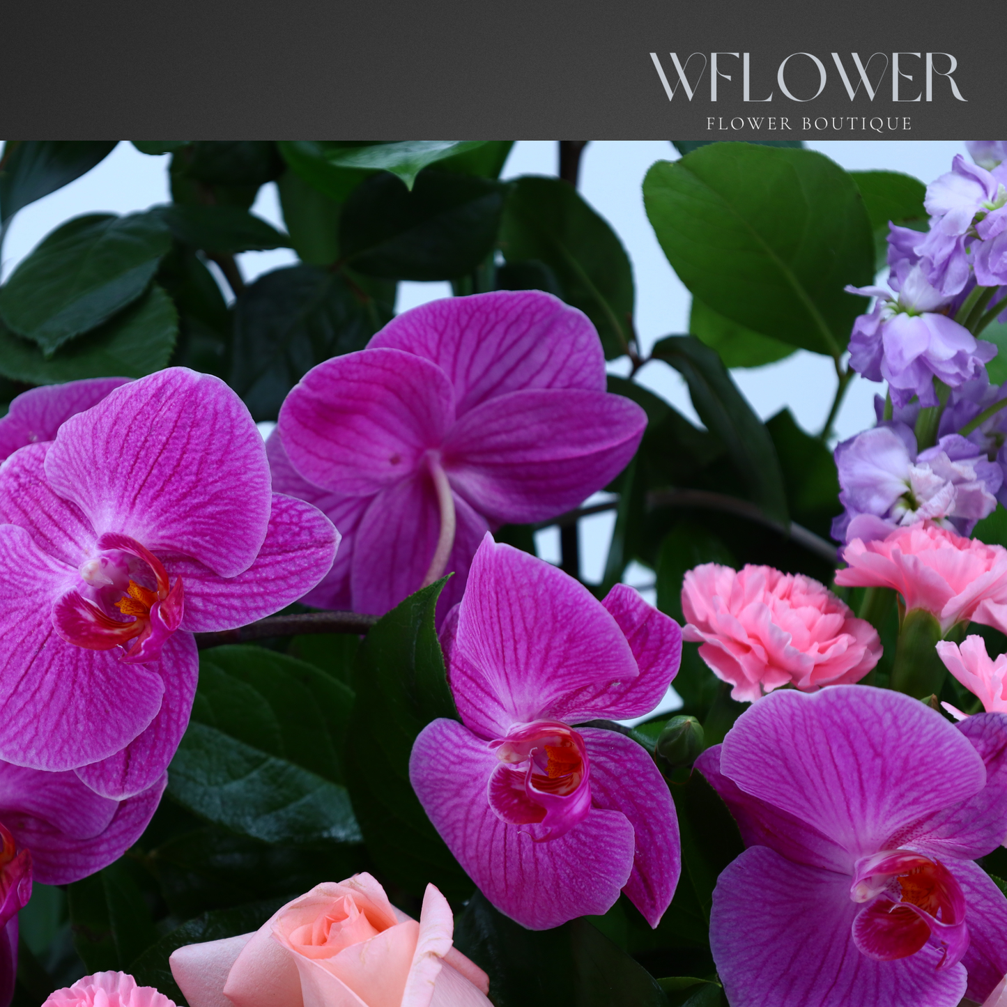 Blush Reverie Basket