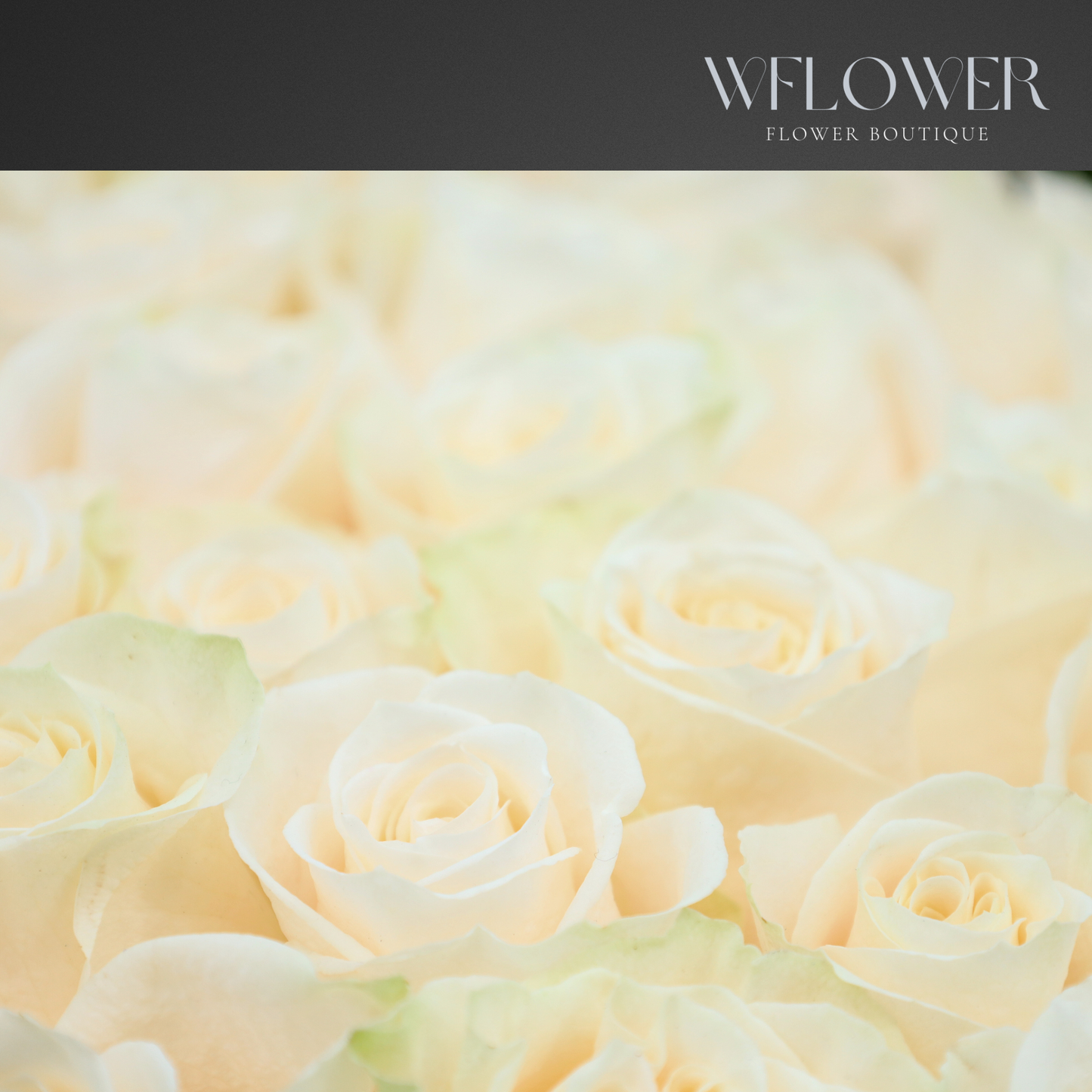 Ivory Whisper Signature Bouquet (70 cm)