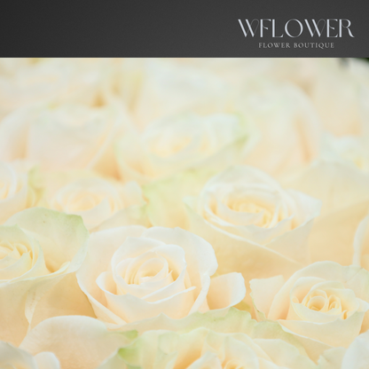 Ivory Whisper Signature Bouquet (70 cm)