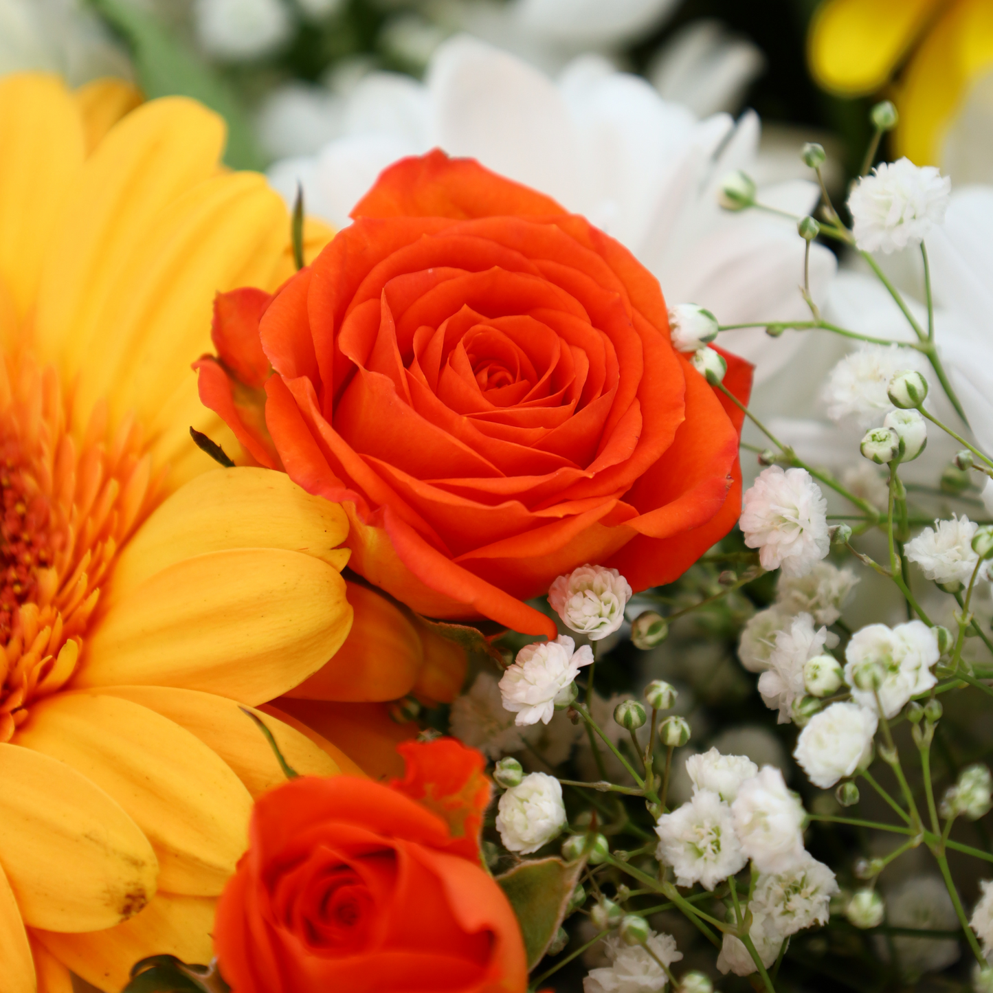 Radiant Harmony Signature Bouquet