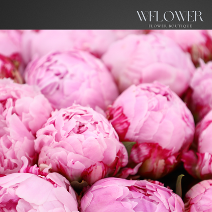 Peony Serenade Signature Bouquet