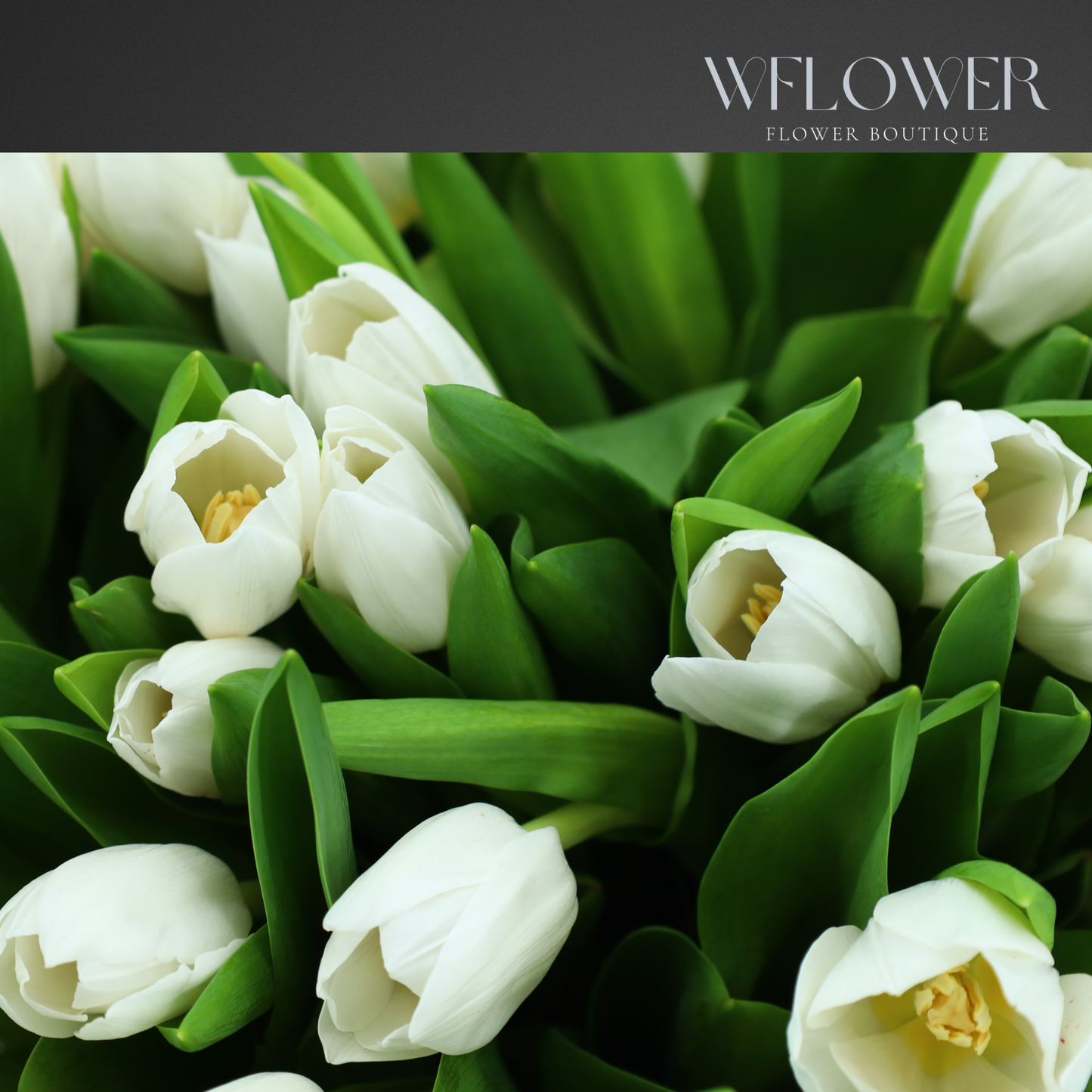 Snow Sonata Tulips Signature Bouquet