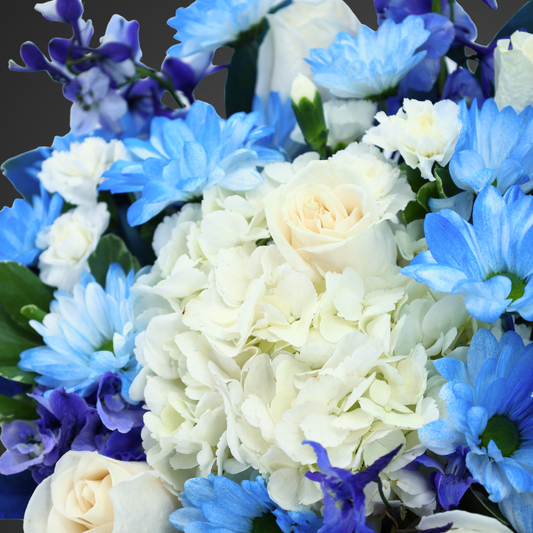 Blue Serenade Signature Box
