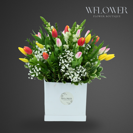 Holland Tulip Garden Signature Box