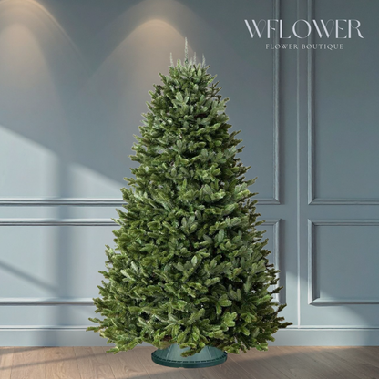 Fresh Cut Fraser Fir Christmas Tree (6 to 7 ft)