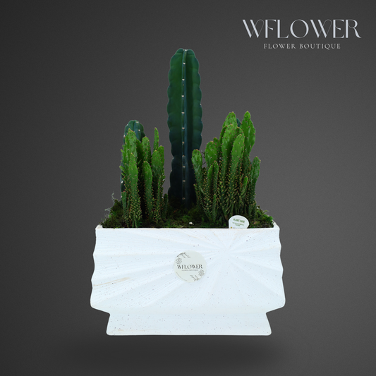Cactus Garden with Moss, 10 in Sculpted White Ceramic Planter