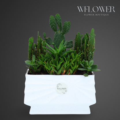 Succulent & Cactus Harmony, 10 in Sculpted White Ceramic Planter